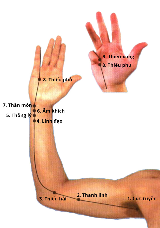 vị trí huyệt thiếu hải