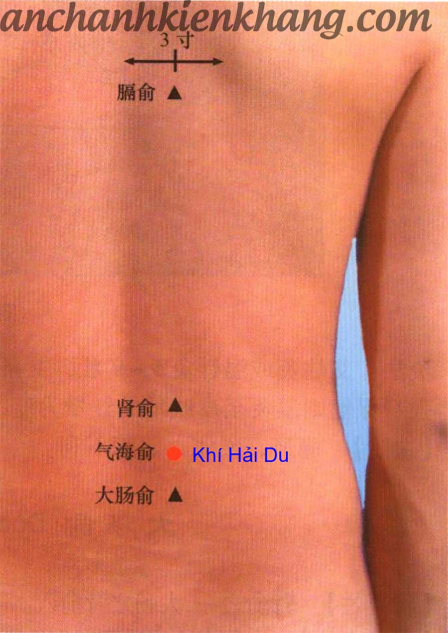 Huyệt khí hải du