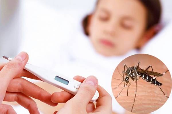 Phân biệt giữa sốt xuất huyết và sốt phát ban